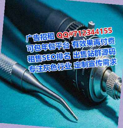 茂南助孕电力公司
